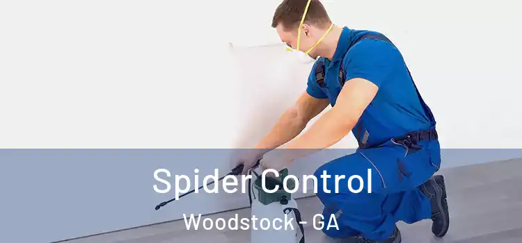  Spider Control Woodstock - GA