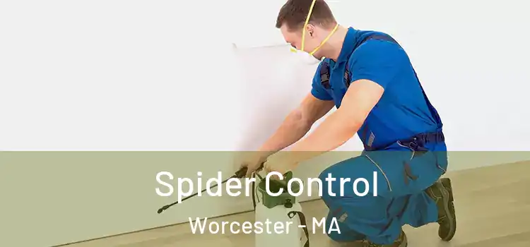  Spider Control Worcester - MA