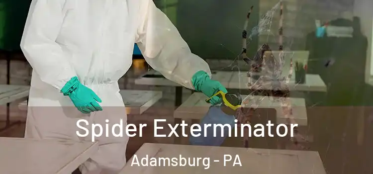  Spider Exterminator Adamsburg - PA