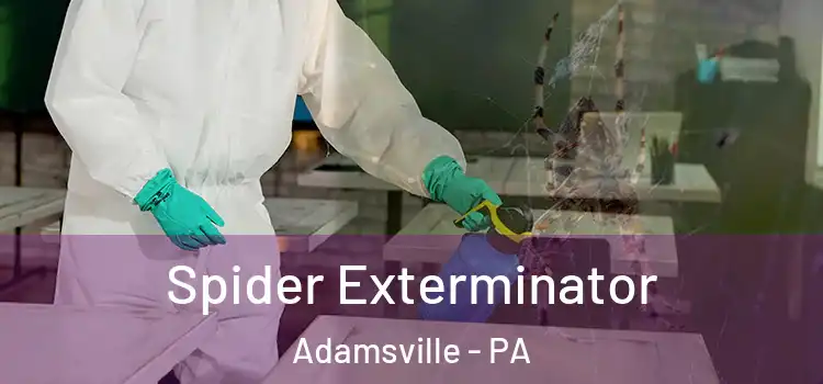 Spider Exterminator Adamsville - PA