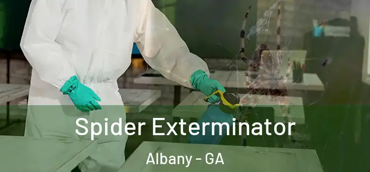  Spider Exterminator Albany - GA