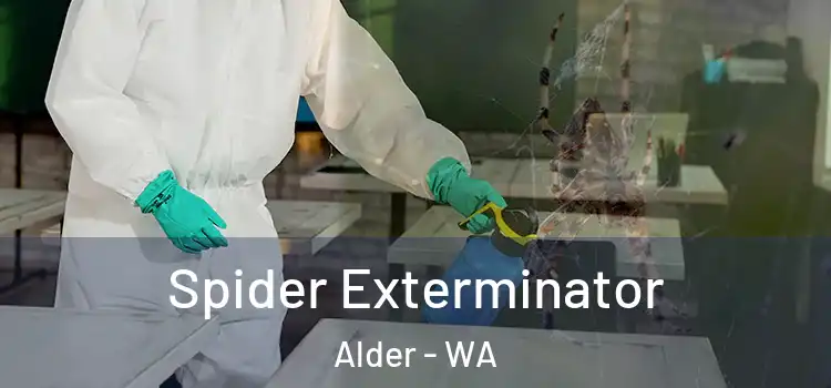  Spider Exterminator Alder - WA