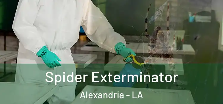 Spider Exterminator Alexandria - LA