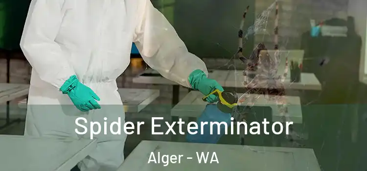  Spider Exterminator Alger - WA