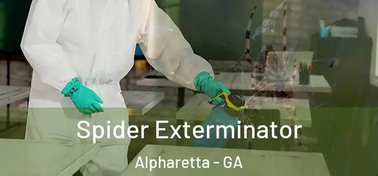  Spider Exterminator Alpharetta - GA