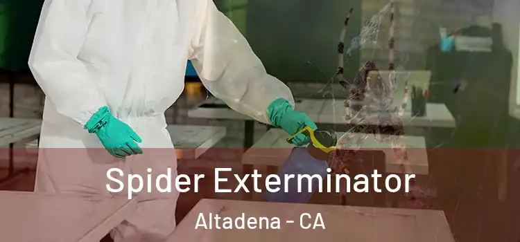  Spider Exterminator Altadena - CA