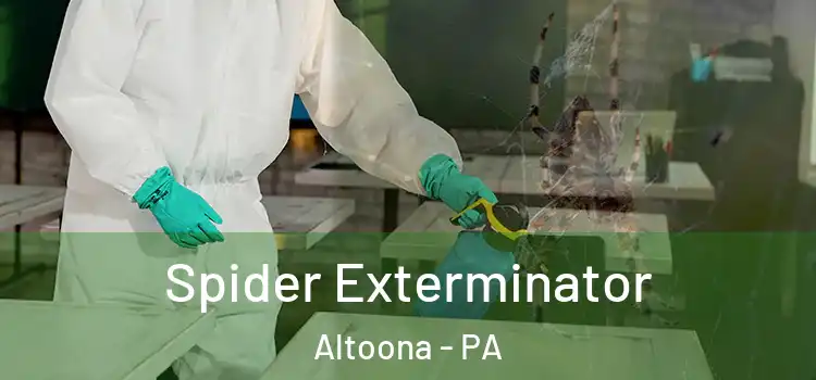  Spider Exterminator Altoona - PA