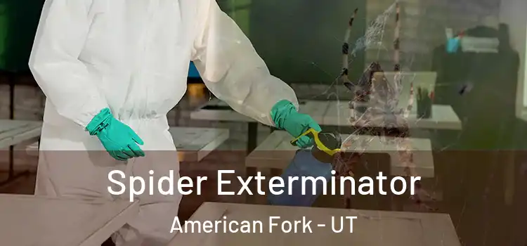  Spider Exterminator American Fork - UT