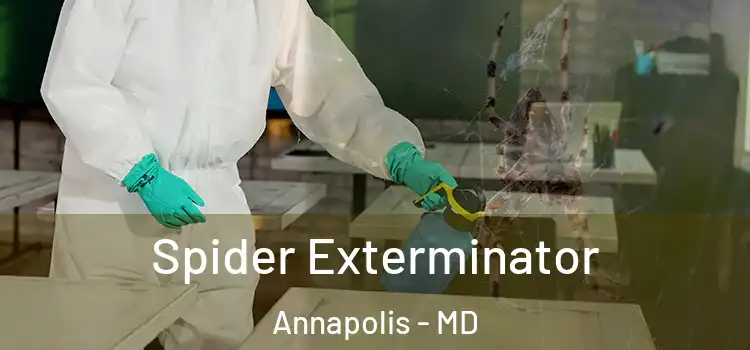 Spider Exterminator Annapolis - MD