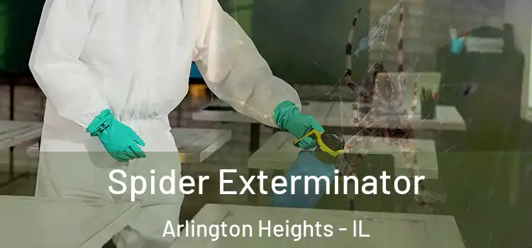  Spider Exterminator Arlington Heights - IL