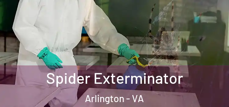  Spider Exterminator Arlington - VA