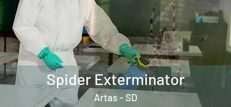  Spider Exterminator Artas - SD