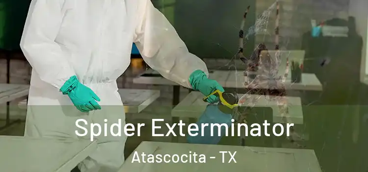  Spider Exterminator Atascocita - TX