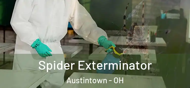  Spider Exterminator Austintown - OH