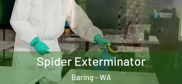  Spider Exterminator Baring - WA