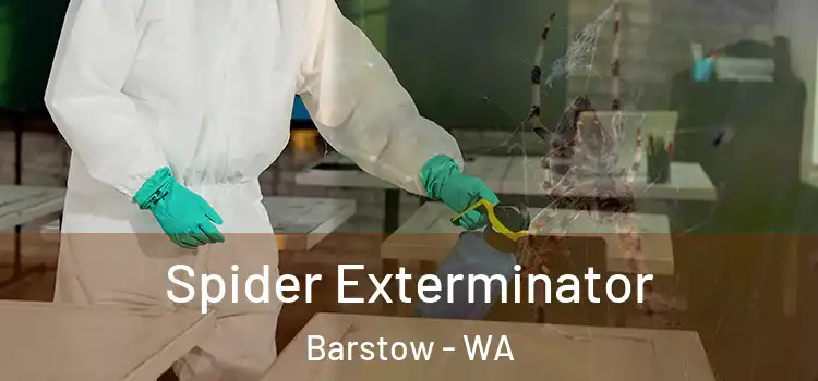  Spider Exterminator Barstow - WA