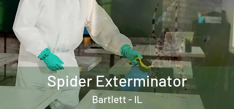  Spider Exterminator Bartlett - IL