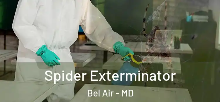  Spider Exterminator Bel Air - MD