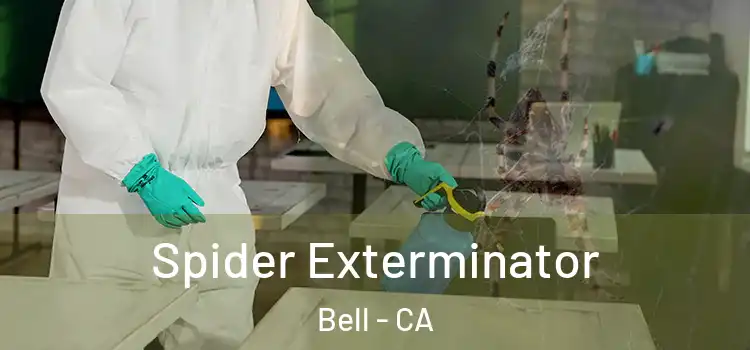 Spider Exterminator Bell - CA