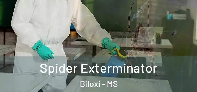  Spider Exterminator Biloxi - MS