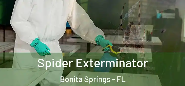 Spider Exterminator Bonita Springs - FL