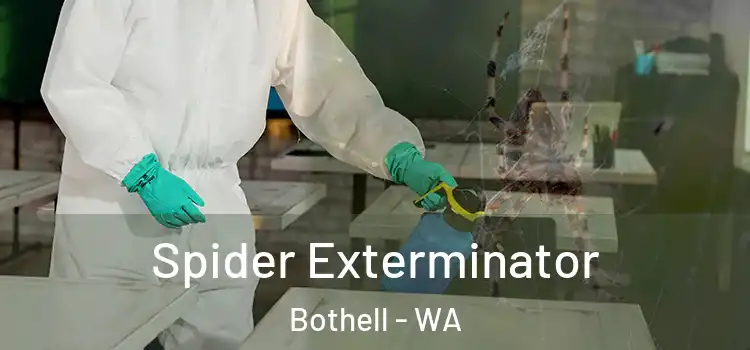  Spider Exterminator Bothell - WA