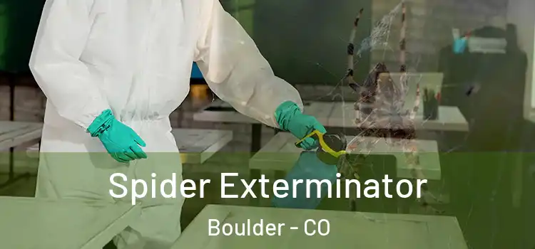  Spider Exterminator Boulder - CO