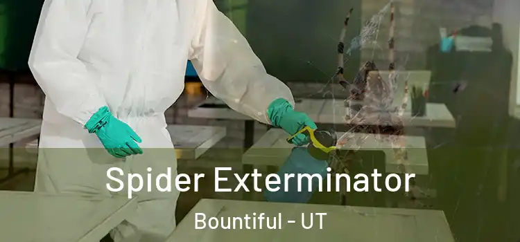  Spider Exterminator Bountiful - UT