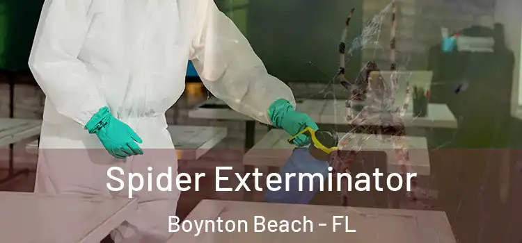 Spider Exterminator Boynton Beach - FL
