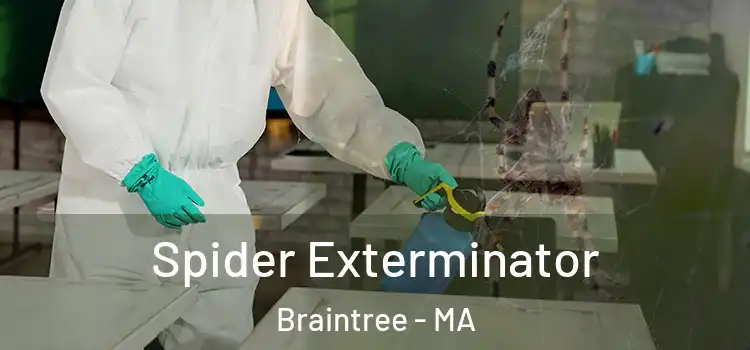  Spider Exterminator Braintree - MA