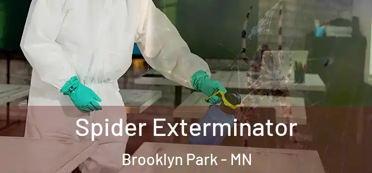  Spider Exterminator Brooklyn Park - MN