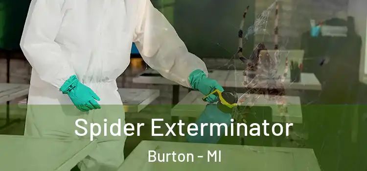  Spider Exterminator Burton - MI