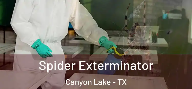  Spider Exterminator Canyon Lake - TX