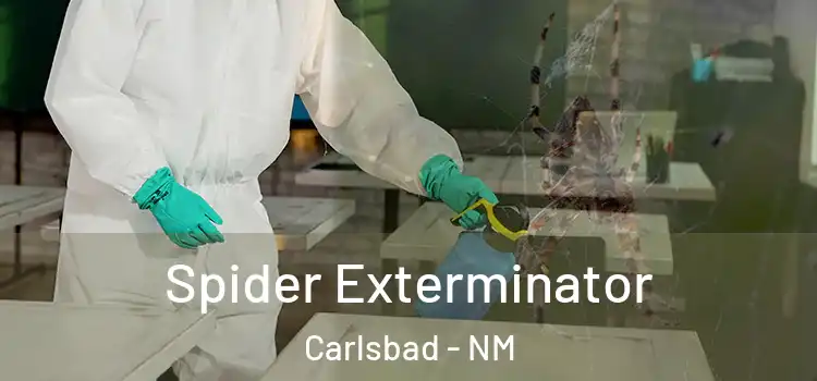 Spider Exterminator Carlsbad - NM