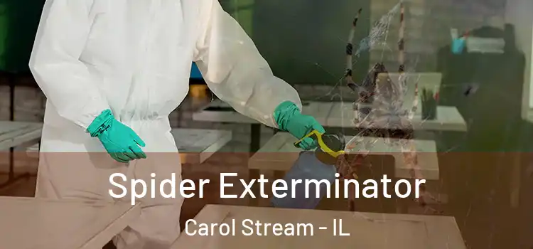  Spider Exterminator Carol Stream - IL