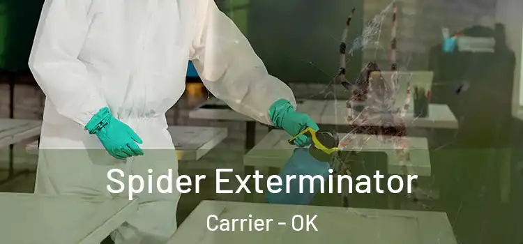 Spider Exterminator Carrier - OK