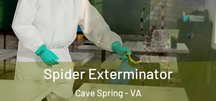  Spider Exterminator Cave Spring - VA
