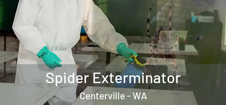  Spider Exterminator Centerville - WA