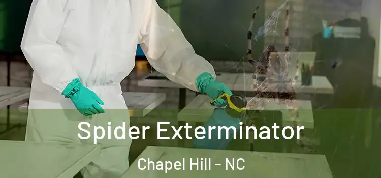 Spider Exterminator Chapel Hill - NC