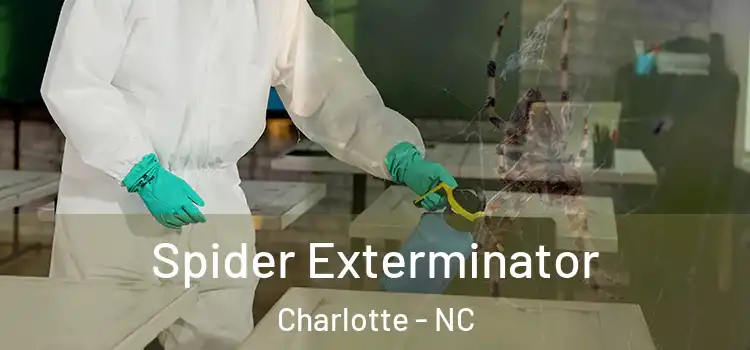  Spider Exterminator Charlotte - NC