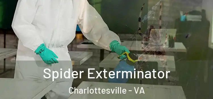  Spider Exterminator Charlottesville - VA