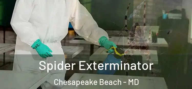  Spider Exterminator Chesapeake Beach - MD