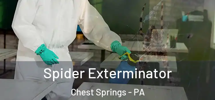  Spider Exterminator Chest Springs - PA
