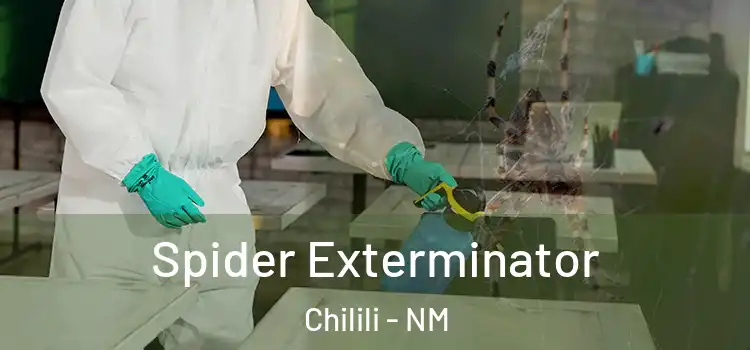  Spider Exterminator Chilili - NM