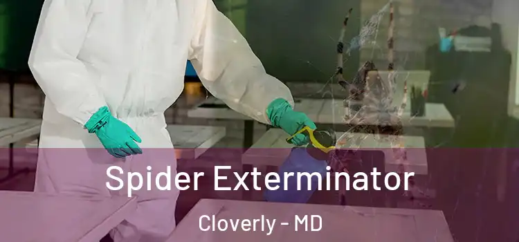 Spider Exterminator Cloverly - MD