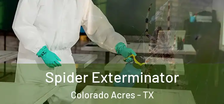  Spider Exterminator Colorado Acres - TX