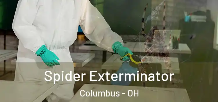  Spider Exterminator Columbus - OH