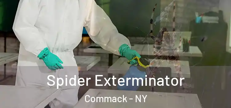  Spider Exterminator Commack - NY