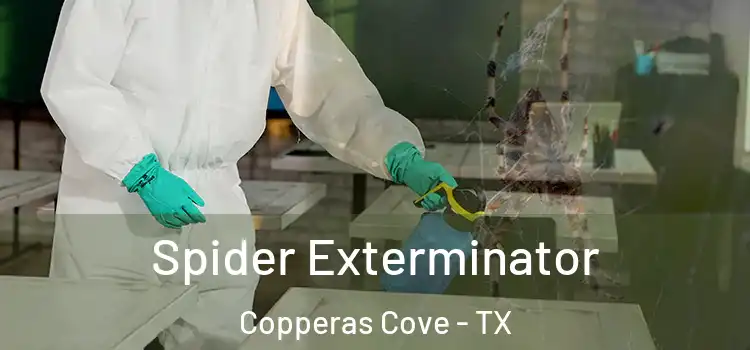  Spider Exterminator Copperas Cove - TX