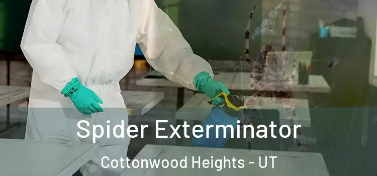  Spider Exterminator Cottonwood Heights - UT